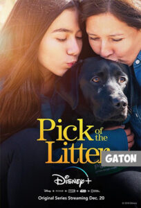 Elegidos para guiar TEMPORADA 1 [Latino] MEDIAFIRE