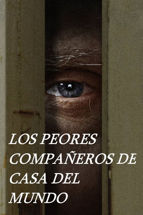Los peores compañeros de casa del mundo TEMPORADAS 1 – 2 [Latino – Ingles] MEDIAFIRE
