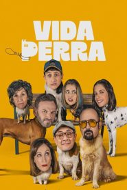 Vida perra TEMPORADA 1 [Castellano] MEDIAFIRE